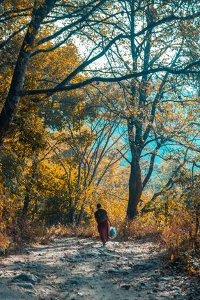 monk,walking,shivapuri,national,park