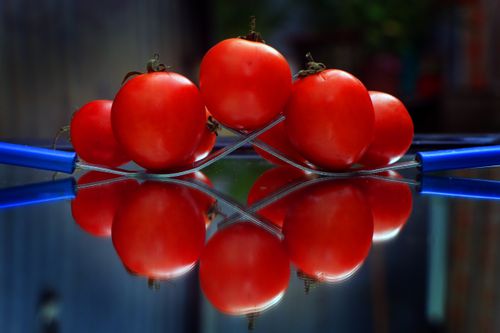 tomato,#food#vagitables,sms,photography