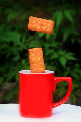 biscuit,mug,creative,photography#,stock,image,photography,sita,maya,shrestha