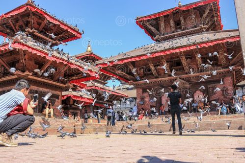 Find  the Image temples,basantapur  and other Royalty Free Stock Images of Nepal in the Neptos collection.