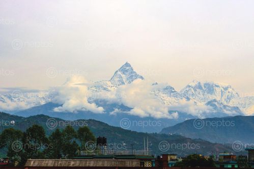 Find  the Image annapurna,mountain,range  and other Royalty Free Stock Images of Nepal in the Neptos collection.