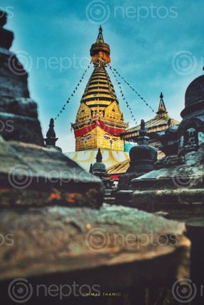 Find  the Image swyambunaath,#monkeytample  and other Royalty Free Stock Images of Nepal in the Neptos collection.