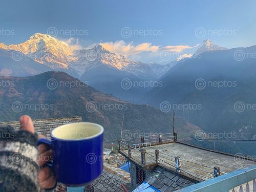 Find  the Image chia,yek,sarko,duniya,nai,arko  and other Royalty Free Stock Images of Nepal in the Neptos collection.