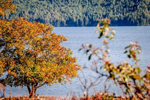 Find  the Image lake,rara  and other Royalty Free Stock Images of Nepal in the Neptos collection.