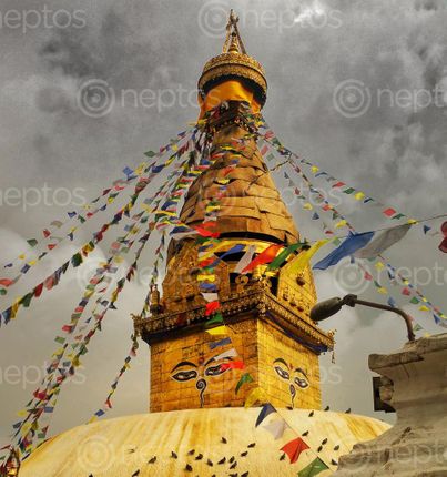 Find  the Image swoyambu  and other Royalty Free Stock Images of Nepal in the Neptos collection.