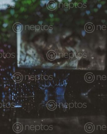 Find  the Image happy,splash,rainy,days  and other Royalty Free Stock Images of Nepal in the Neptos collection.