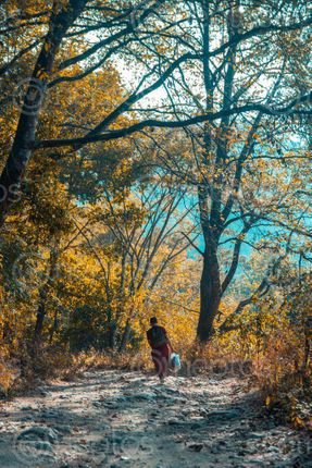 Find  the Image monk,walking,shivapuri,national,park  and other Royalty Free Stock Images of Nepal in the Neptos collection.