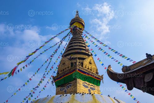 Find  the Image swayambhunath,monkey,temple,located,kathmandu,nepal,showing,wisdom,eyes,clear,blue,sky  and other Royalty Free Stock Images of Nepal in the Neptos collection.