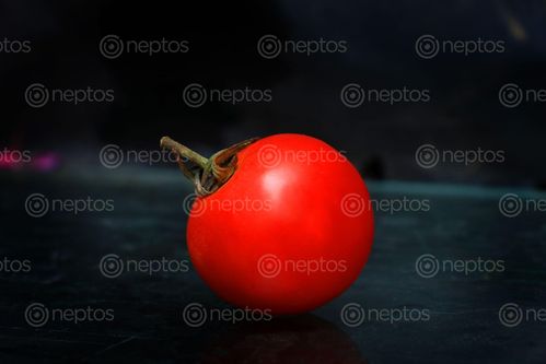 Find  the Image tomato,photography,sms  and other Royalty Free Stock Images of Nepal in the Neptos collection.