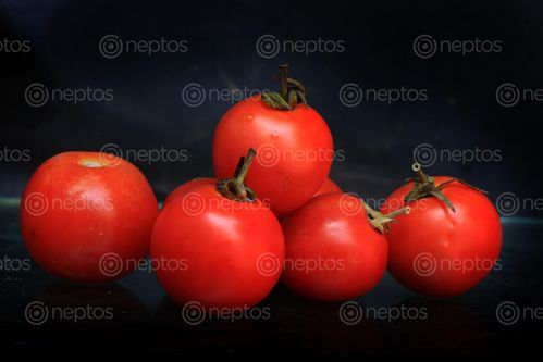 Find  the Image tomato,photography#,sms,photography  and other Royalty Free Stock Images of Nepal in the Neptos collection.