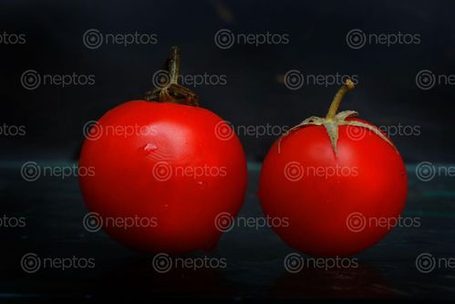 Find  the Image tomato,image,sms,photography  and other Royalty Free Stock Images of Nepal in the Neptos collection.