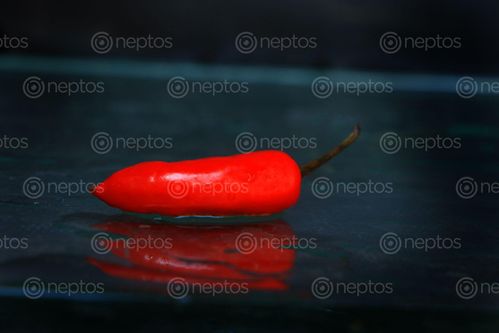 Find  the Image red,chili,sms,photography  and other Royalty Free Stock Images of Nepal in the Neptos collection.