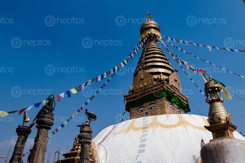 Find  the Image swayambhunath,monkey,temple,located,heart,kathmandu,nepal,declared,world,heritage,site,unesco  and other Royalty Free Stock Images of Nepal in the Neptos collection.