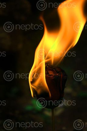 Find  the Image burning,red,plastic,rose,sms,photography  and other Royalty Free Stock Images of Nepal in the Neptos collection.