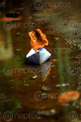 Find  the Image paper,boat,reflection,sms,photography  and other Royalty Free Stock Images of Nepal in the Neptos collection.