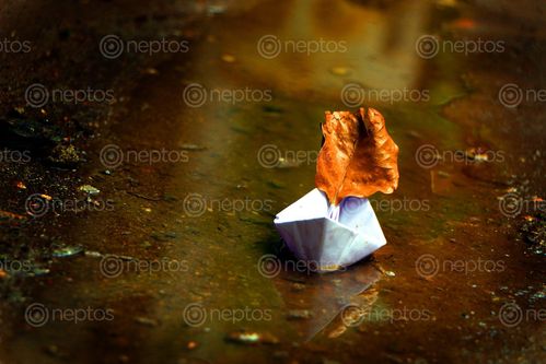 Find  the Image paper,boat,reflection,sms,photography  and other Royalty Free Stock Images of Nepal in the Neptos collection.