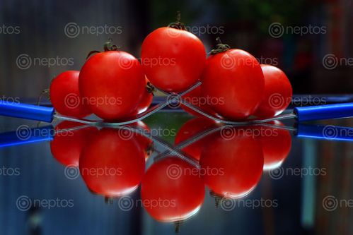 Find  the Image tomato,#food#vagitables,sms,photography  and other Royalty Free Stock Images of Nepal in the Neptos collection.