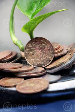 Find  the Image money,plant,grows,coins,sms,photography  and other Royalty Free Stock Images of Nepal in the Neptos collection.