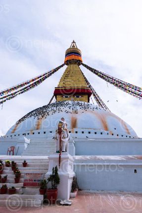 Find  the Image boudhanath,stupa,largest,world,located,kathmandu,nepal,declared,heritage,site,unesco  and other Royalty Free Stock Images of Nepal in the Neptos collection.