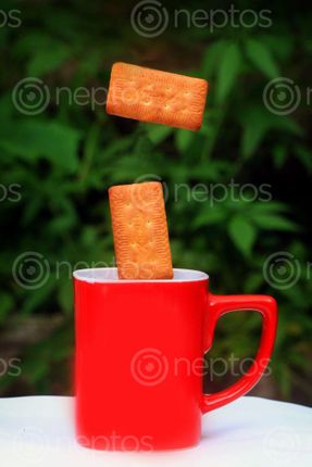 Find  the Image biscuit,mug,creative,photography#,stock,image,photography,sita,maya,shrestha  and other Royalty Free Stock Images of Nepal in the Neptos collection.