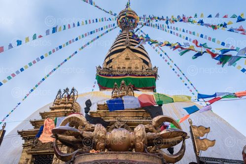 Find  the Image swayambhunath,monkey,temple,located,heart,kathmandu,nepal,declared,world,heritage,site,unesco  and other Royalty Free Stock Images of Nepal in the Neptos collection.