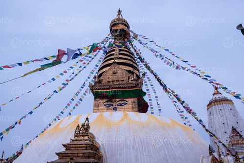 Find  the Image swayambhunath,monkey,temple,located,heart,kathmandu,nepal,declared,world,heritage,site,unesco  and other Royalty Free Stock Images of Nepal in the Neptos collection.