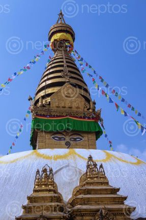 Find  the Image swayambhunath,monkey,temple,located,heart,kathmandu,nepal,declared,world,heritage,site,unesco  and other Royalty Free Stock Images of Nepal in the Neptos collection.