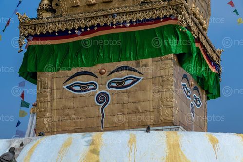 Find  the Image swayambhunath,monkey,temple,located,heart,kathmandu,nepal,declared,world,heritage,site,unesco  and other Royalty Free Stock Images of Nepal in the Neptos collection.