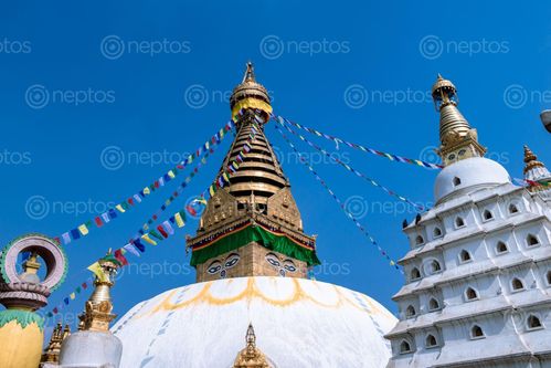 Find  the Image swayambhunath,monkey,temple,located,heart,kathmandu,nepal,declared,world,heritage,site,unesco  and other Royalty Free Stock Images of Nepal in the Neptos collection.