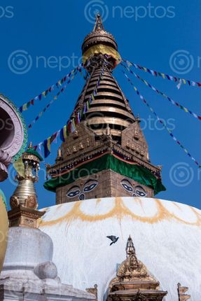 Find  the Image swayambhunath,monkey,temple,located,heart,kathmandu,nepal,declared,world,heritage,site,unesco  and other Royalty Free Stock Images of Nepal in the Neptos collection.