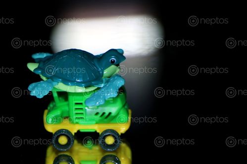 Find  the Image tortoise,toy#,car,#stock,image#,nepal,photography,sita,maya,shrestha  and other Royalty Free Stock Images of Nepal in the Neptos collection.