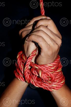 Find  the Image kidnapped,men,tied,rope#,stock,image,nepal,_photography,sita,maya,shrestha  and other Royalty Free Stock Images of Nepal in the Neptos collection.