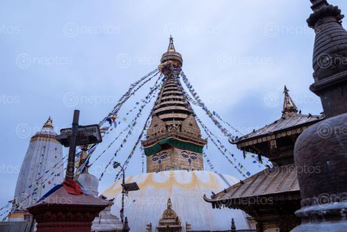 Find  the Image swayambhunath,monkey,temple,located,heart,kathmandu,nepal,declared,world,heritage,site,unesco  and other Royalty Free Stock Images of Nepal in the Neptos collection.