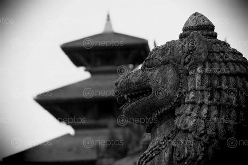 Find  the Image krishna,mandir,patan,durbar,square,stock,image,nepal_photography,sita,maya,shrestha  and other Royalty Free Stock Images of Nepal in the Neptos collection.