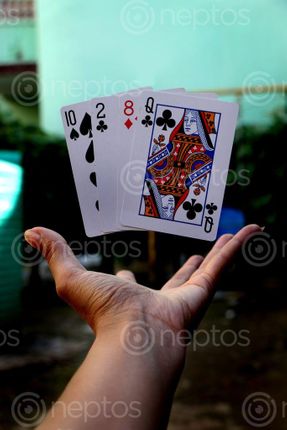 Find  the Image playing,cards,photography#stock,image,nepal,photography,sita,maya,shrestha  and other Royalty Free Stock Images of Nepal in the Neptos collection.