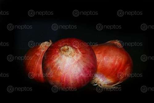 Find  the Image onion,image,stock,nepal,photography,sita,maya,shrestha  and other Royalty Free Stock Images of Nepal in the Neptos collection.