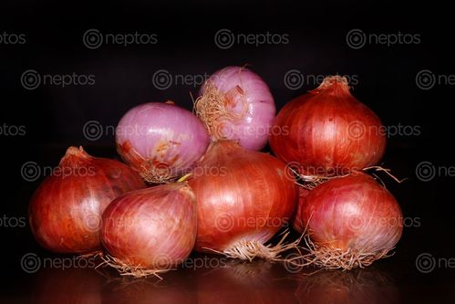 Find  the Image onion,image,stock,nepal,photography,sita,maya,shrestha  and other Royalty Free Stock Images of Nepal in the Neptos collection.