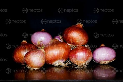 Find  the Image onion,image,stock,nepal,photography,sita,maya,shrestha  and other Royalty Free Stock Images of Nepal in the Neptos collection.