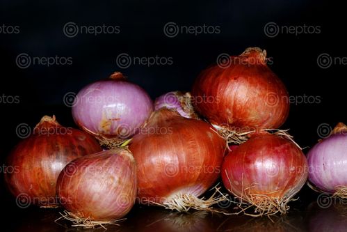 Find  the Image onion,image,stock,nepal,photography,sita,maya,shrestha  and other Royalty Free Stock Images of Nepal in the Neptos collection.