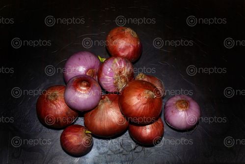 Find  the Image onions,image,stock,nepal,photography,sita,maya,shrestha  and other Royalty Free Stock Images of Nepal in the Neptos collection.