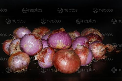 Find  the Image onions,image,stock,nepal,photography,sita,maya,shrestha  and other Royalty Free Stock Images of Nepal in the Neptos collection.