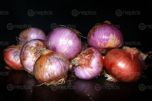 Find  the Image onions,image,stock,nepal,photography,sita,maya,shrestha  and other Royalty Free Stock Images of Nepal in the Neptos collection.