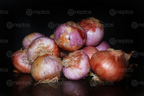 Find  the Image onions,image,stock,nepal,photography,sita,maya,shrestha  and other Royalty Free Stock Images of Nepal in the Neptos collection.