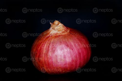 Find  the Image onion,image,stock,nepal,photography,sita,maya,shrestha  and other Royalty Free Stock Images of Nepal in the Neptos collection.