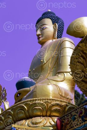 Find  the Image golden,statue,buddha,park,swayambhunath,kathmandu,nepal  and other Royalty Free Stock Images of Nepal in the Neptos collection.