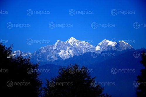 Find  the Image mt,jugal,himal,sindhupalchok,tauthali#,stock,image#,nepal,photography,sita,maya,shrestha  and other Royalty Free Stock Images of Nepal in the Neptos collection.