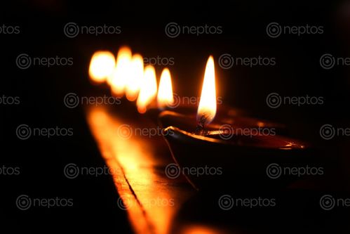 Find  the Image diyas,festival,light#,stock,image,nepalphotography,sita,maya,shrestha  and other Royalty Free Stock Images of Nepal in the Neptos collection.