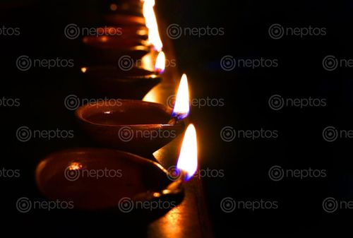 Find  the Image diyas,festival,light#,stock,image,nepalphotography,sita,maya,shrestha  and other Royalty Free Stock Images of Nepal in the Neptos collection.