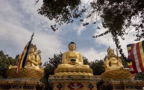 Find  the Image golden,statue,buddha,park,swayambhunath,kathmandu,nepal  and other Royalty Free Stock Images of Nepal in the Neptos collection.