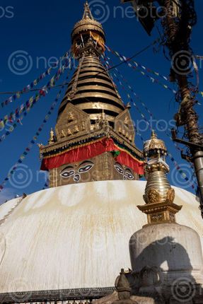 Find  the Image swayambhunath,monkey,temple,located,heart,kathmandu,nepal,declared,world,heritage,site,unesco  and other Royalty Free Stock Images of Nepal in the Neptos collection.